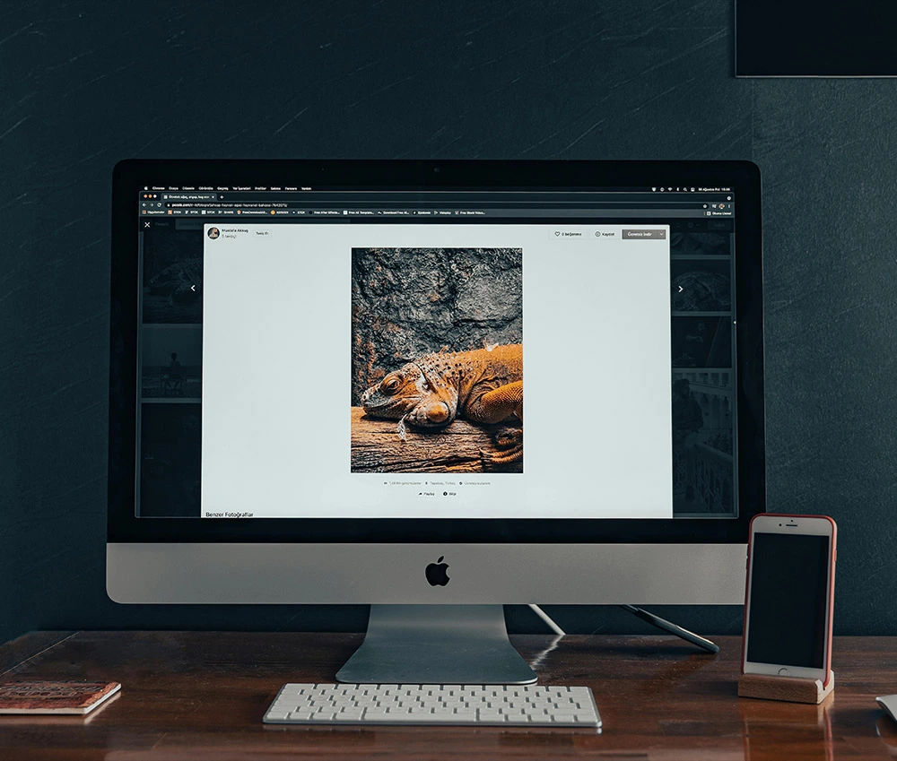 Web Designing