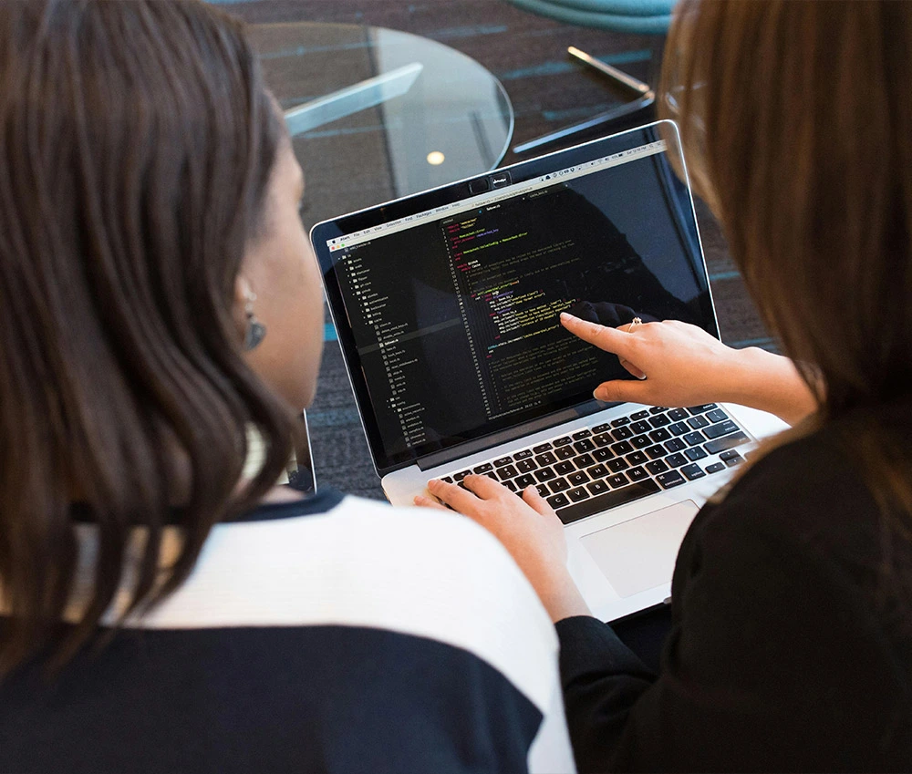 Web Development